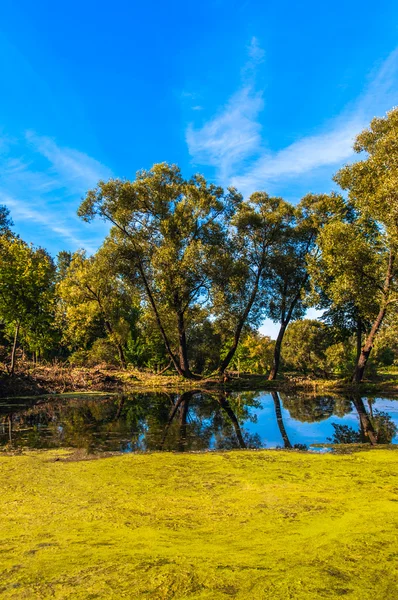 Lente landschap — Stockfoto