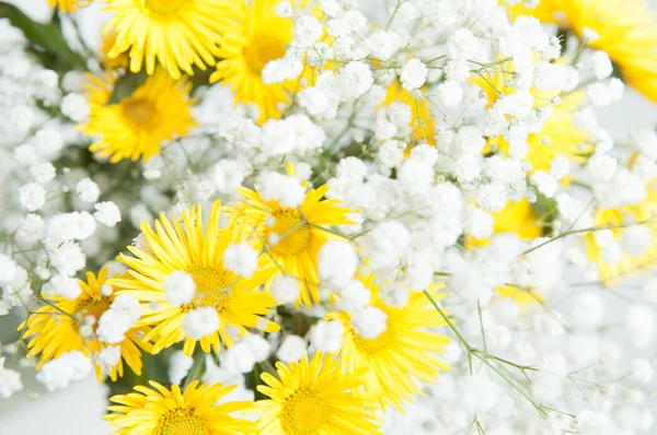 Bouquet de chrysanthèmes jaunes — Photo