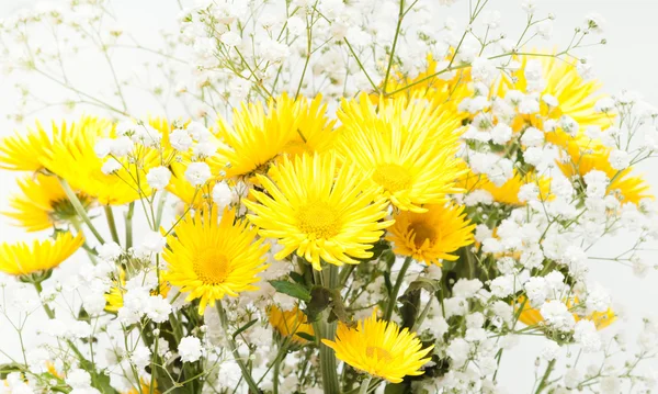 Bouquet de chrysanthèmes jaunes — Photo