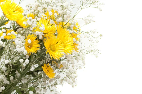 Bouquet de chrysanthèmes jaunes — Photo