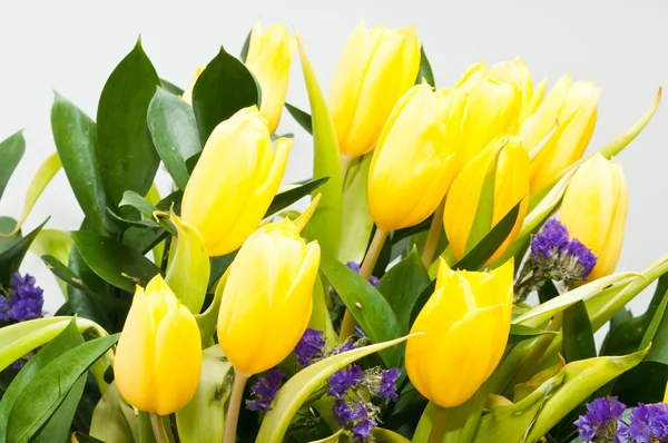 Gelbe Tulpen — Stockfoto