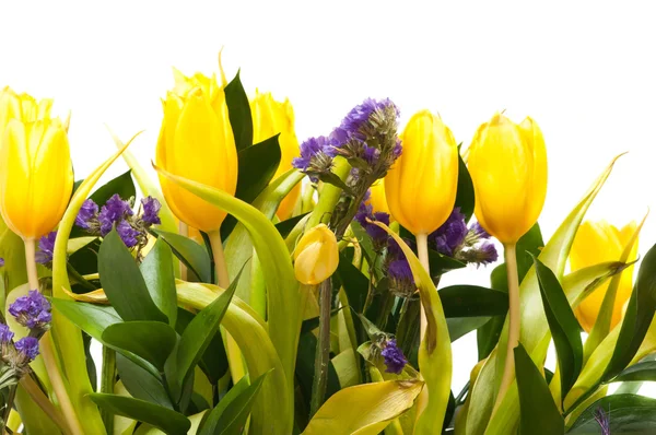 Gelbe Tulpen — Stockfoto