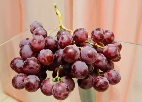 Uvas rojas — Foto de Stock