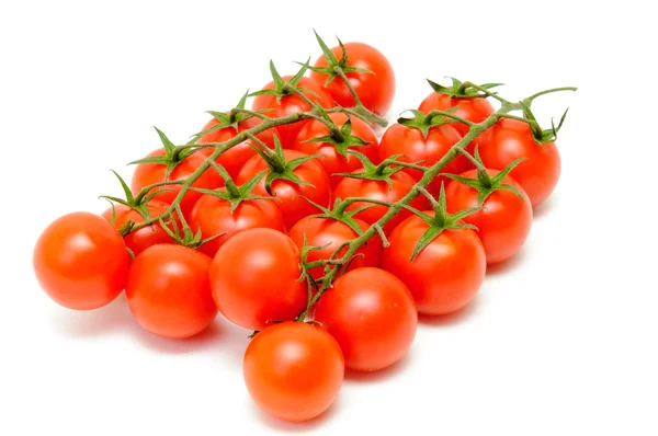 Förgrening av tomaten — Stockfoto