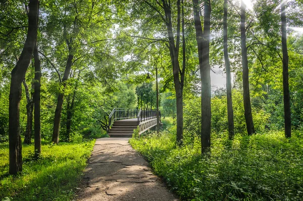 Parktaki köprü — Stok fotoğraf