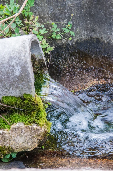 Frühling — Stockfoto