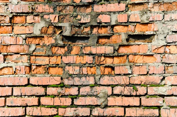 Fond d'un mur de briques — Photo