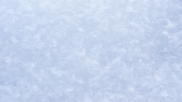 Sfondo di neve bianca — Foto Stock