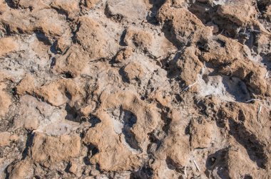 eski kurumuş toprak