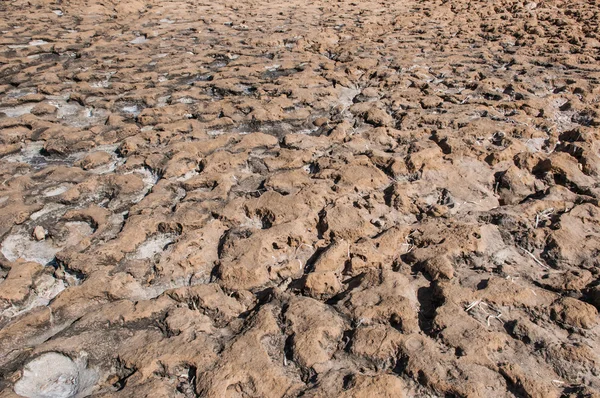 오래 된 말린된 지구 — 스톡 사진