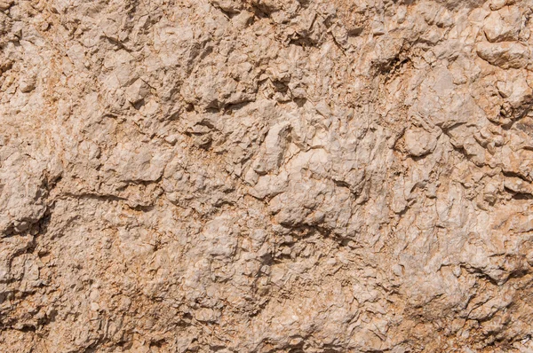 오래 된 말린된 지구 — 스톡 사진