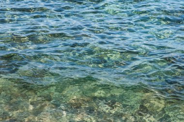 Deniz tabanı arka plan