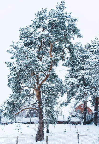 Kış evi — Stok fotoğraf