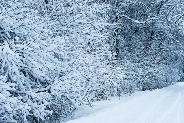 Strada invernale — Foto Stock