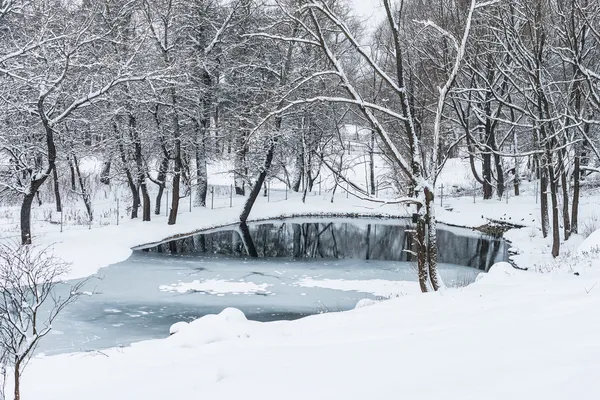 Estanque no congelado en invierno — Foto de Stock