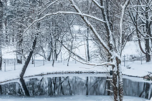 Estanque no congelado en invierno —  Fotos de Stock