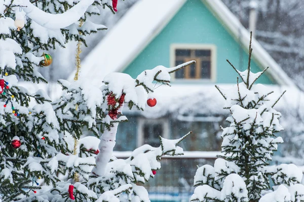 FIR tegen huis — Stockfoto