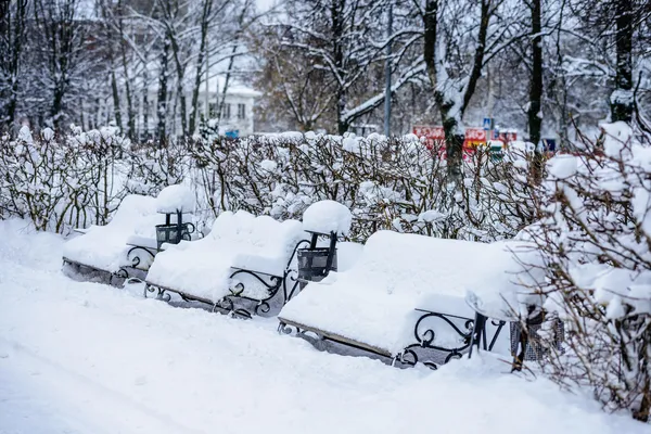 Bench in the park in winter — Stock Photo, Image