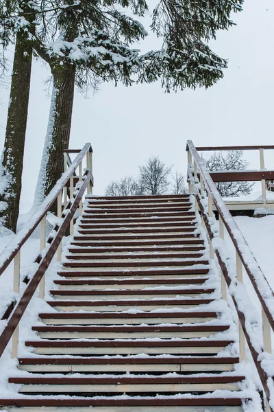 Kışın Ahşap merdiven — Stok fotoğraf