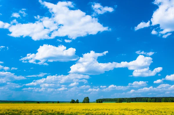 Krajobraz prerii i niebo — Zdjęcie stockowe