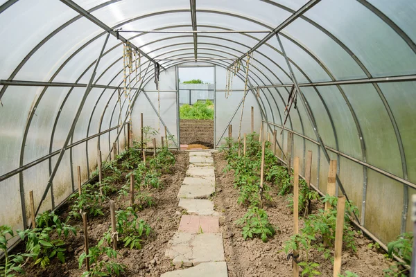 Arched greenhouse — Stock Photo, Image