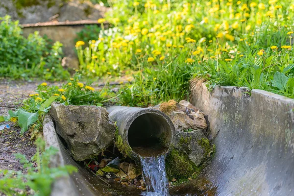 Frühling — Stockfoto