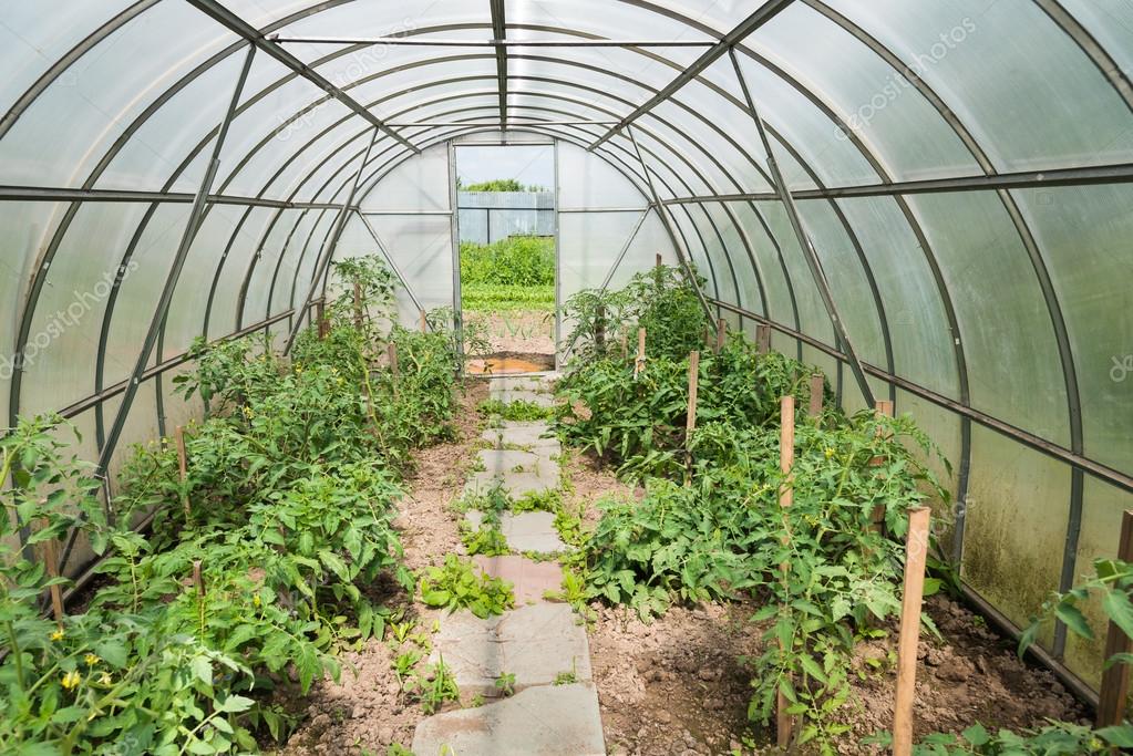 Arched greenhouse Stock Photo by ©dbrus 26672967