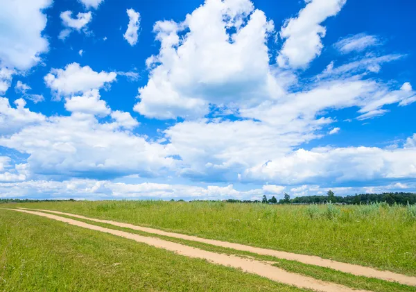 Dirt road in a field — Stock Photo, Image