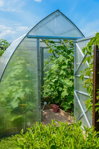 Arched greenhouse — Stock Photo, Image