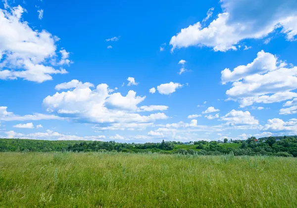 草原の風景と空 ロイヤリティフリーのストック画像