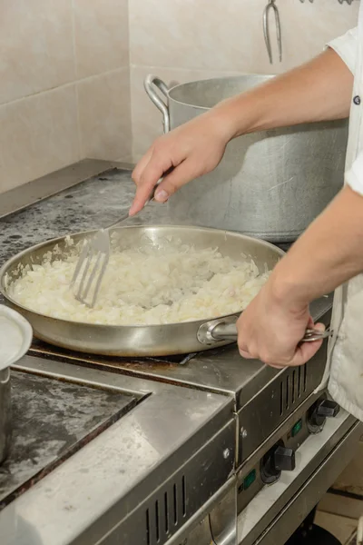 Fried onions Royalty Free Stock Photos