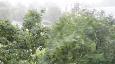 Fırtına rüzgar ile