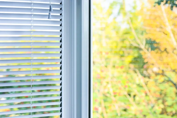 Window blinds — Stock Photo, Image