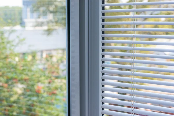 Window blinds — Stock Photo, Image