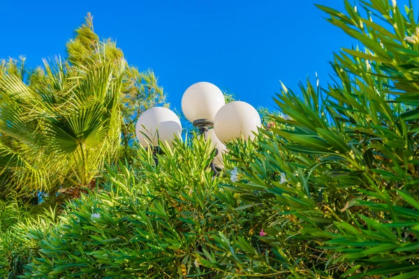 Laterne im Garten — Stockfoto