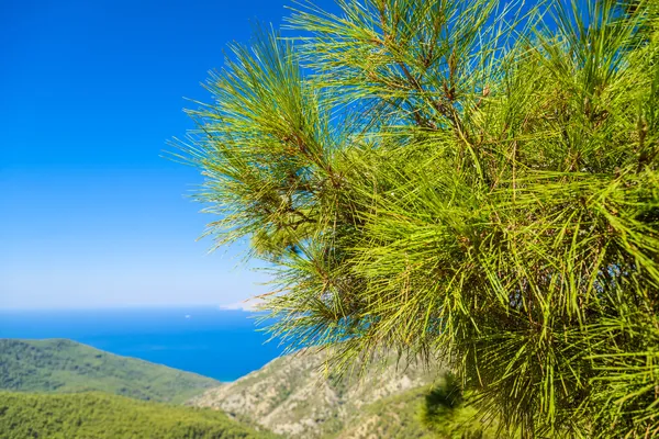 View of the sea from a height — Stock Photo, Image