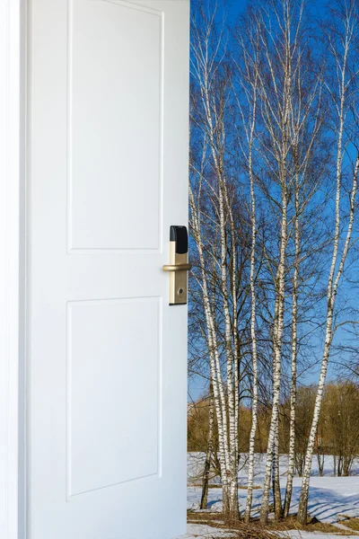 Open door and a winter forest — Stock Photo, Image