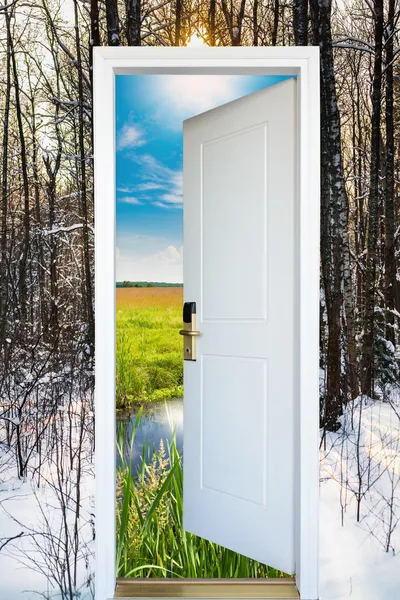 Offene Tür und ein Winterwald — Stockfoto