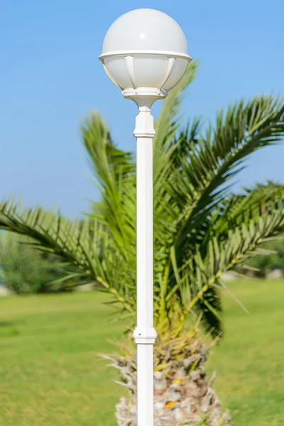 Lantern in the garden — Stock Photo, Image