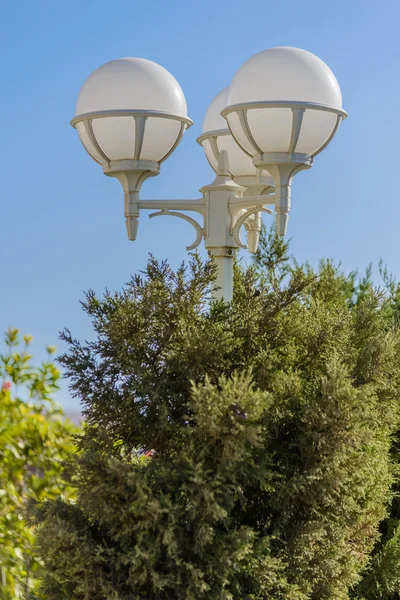 Bahçedeki fener. — Stok fotoğraf