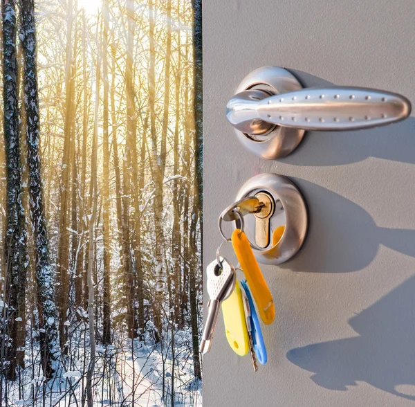 Offene Tür und ein Winterwald — Stockfoto