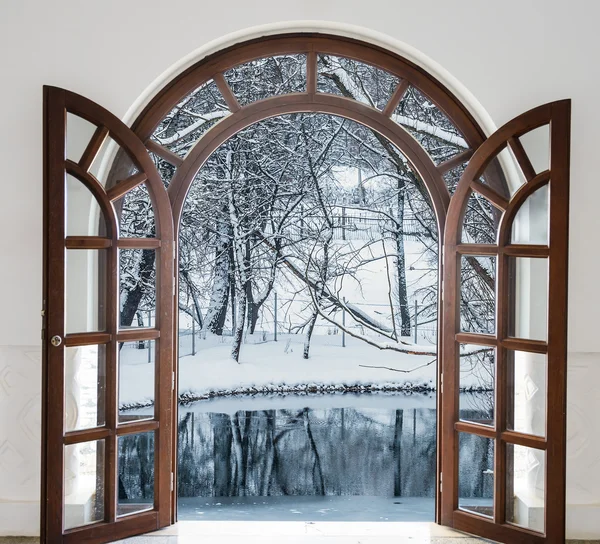 Puerta abierta y un bosque de invierno — Foto de Stock