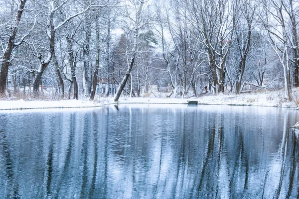 Kışın donmuş gölet değil. — Stok fotoğraf