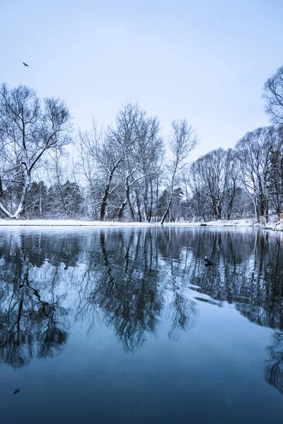 Stagno non ghiacciato in inverno — Foto Stock