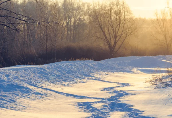 Winter menselijke voetafdrukken in de sneeuw bij zonsopgang — Stockfoto