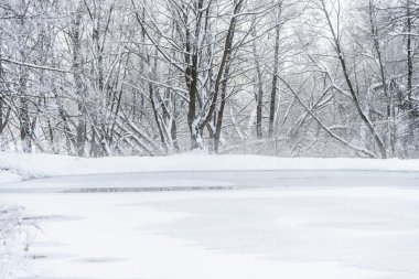 Kışın donmuş gölet değil.
