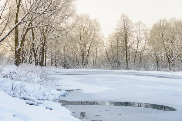 Niet bevroren vijver in de winter — Stockfoto