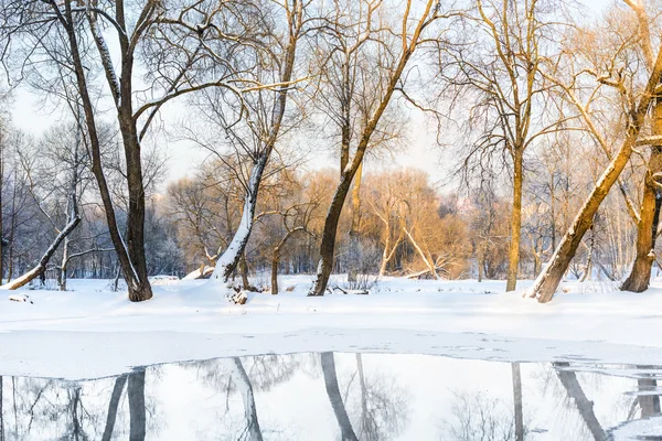 Niet bevroren vijver in de winter — Stockfoto