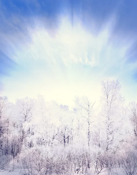 Stagno non ghiacciato in inverno — Foto Stock