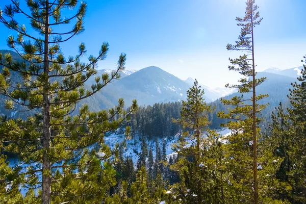 Berglandschaft im sonnigen Winter frostiger Tag mit blauem Himmel. — Stockfoto